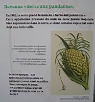 25 - La serre aux Pandanus (2).jpg